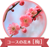 コースの花木、梅