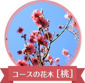 コースの花木、桃