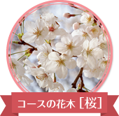 コースの花木、桜