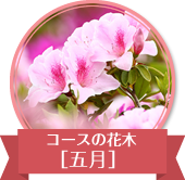 コースの花木、五月