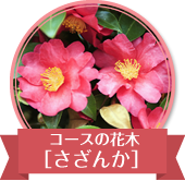 コースの花木、さざんか